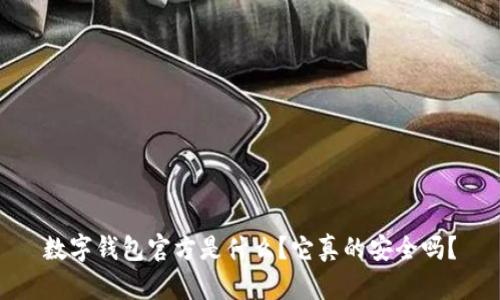 数字钱包官方是什么？它真的安全吗？