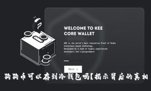 狗狗币可以存到冷钱包吗?揭示背后的真相