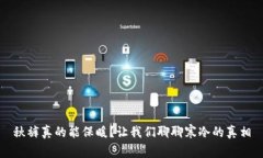秋裤真的能保暖？让我们聊聊寒冷的真相